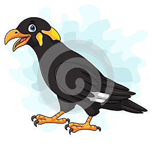Cartoon myna bird on white background