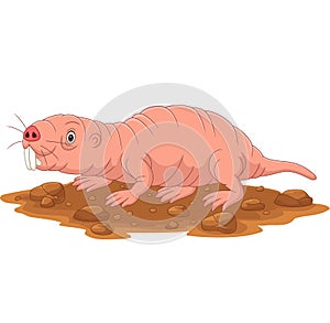 Cartoon naked mole rat smiling