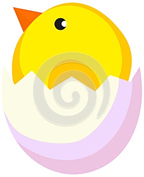 Cartoon new born chicken chick icon poster.