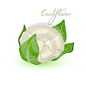 Cartoon noggin of cauliflower