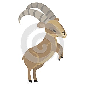 Cartoon Nubian Mountain Goat. Vector illustration of a cute mountain sheep. Drawing animal for children. Zoo for kids.