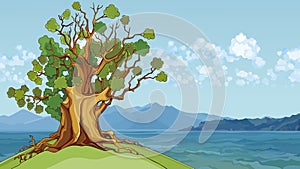 Cartoon oak tree growing on a hill by the sea