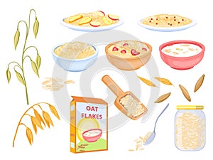 Cartoon oatmeal breakfast cereals, sweet flakes and grains. Oat plant and seed. Porridge with fruit in bowl. Healthy