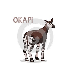 A cartoon okapi,  on a white background. Animal alphabet.