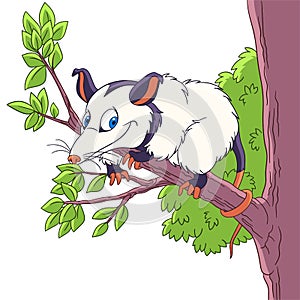 Cartoon opossum animal