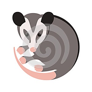 cartoon opossum, vector illustration, flat style