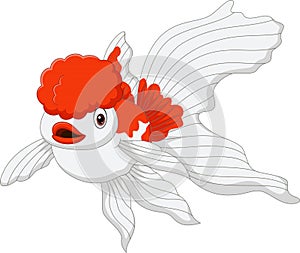 Cartoon oranda goldfish on a white background