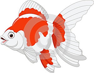 Cartoon oranda goldfish on a white background