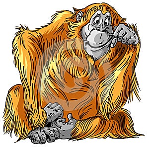 Cartoon orangutan great ape