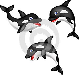 Cartoon orca collection set