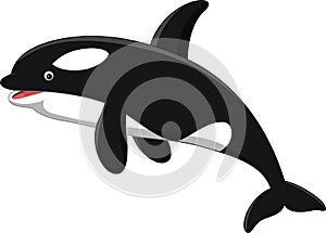 Cartoon orca isolated on white background