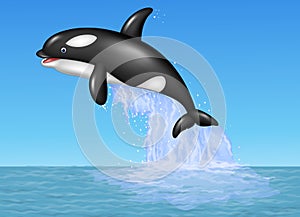 Cartoon orca jumping on the blue ocean background