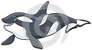Cartoon orca or killer whale sea animal character