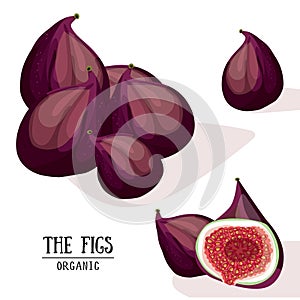 Cartoon organic figs. Vector illustration.
