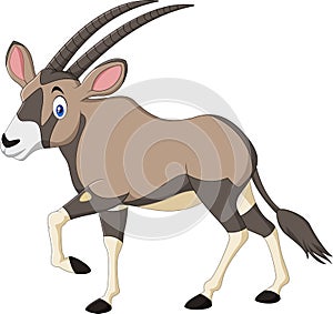 Cartoon orix gazelle isolated on white background photo
