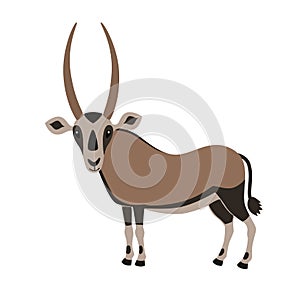 Cartoon Oryx Antelope