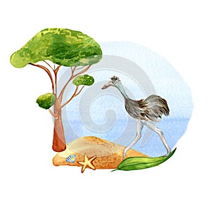 Cartoon ostrich on the beach watercolor illustration isolated on white background.