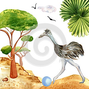 Cartoon ostrich running watercolor illustration isolated on white background.