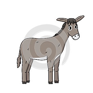 Cartoon outline donkey illustration on white background. Vector doodle single isolated hand drawn farm gray animal smiles, looks