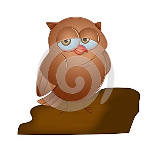 Cartoon Owl