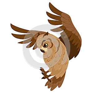 Cartoon owl bird. Hunting owl, flying wildlife brown feathered owl, forest wild predator flat vector illustration on white