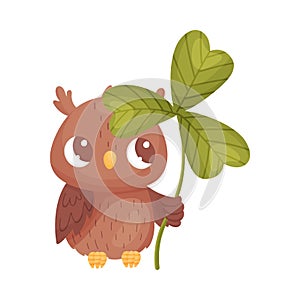 Cartoon owl with clover. Vector illustration on white background.