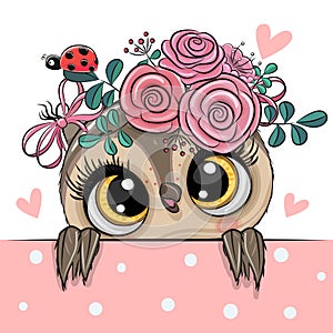 Cartoon Owl with flowerson a white background