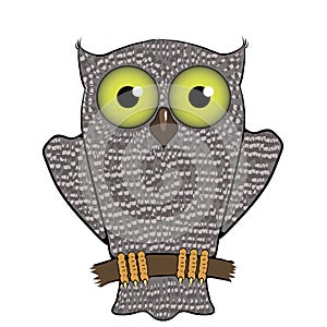 Cartoon Owl Isolated on White Background.