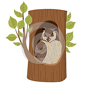 Cartoon owl sitting in oak nest. Tree hollow, forest owl bird sit in woods house, wildlife bird flat vector illustration set on