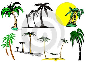 Cartoon palm tree