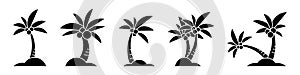 Cartoon palm trees black silhouette. Palm trees icon set. Vector illustration isolated on background.