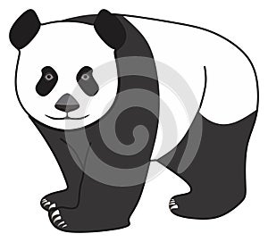 Cartoon panda character vector drawing on isolated white background. face with black spots eyes