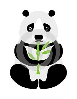 Cartoon panda sitting and eating bamboo animal bear funny vector.