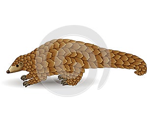 Cartoon pangolin isolated on white background