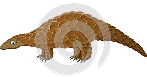 Cartoon Pangolin isolated on white background