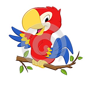 Cartoon Parrot