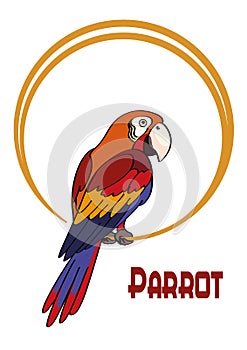 Cartoon Parrot on the Ring