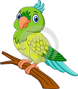 Cartoon parrot on tree branch
