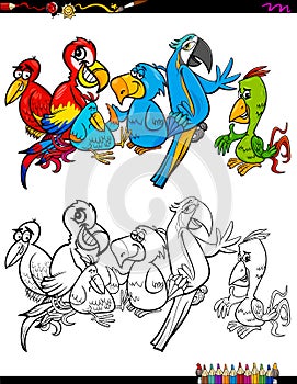 Cartoon parrots characters coloring book