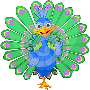 Cartoon peacock
