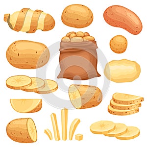 Cartoon peeled raw potato, sliced and french fries. Potatoes in bag, chopped, chips and slices. Farm fresh vegetable