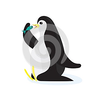 Cartoon penguin eating the fish. Flat vector, isolated on white background