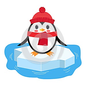 Cartoon penguin on ice chunk. Vector illustration isolated on white background.