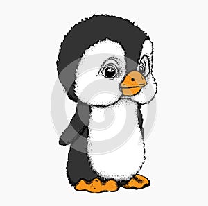 A cartoon penguin. Vector illustration