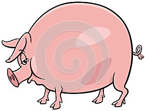 Cartoon pig farm animal character