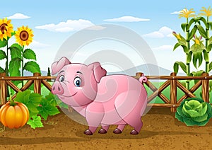 Cartoon pig with farm background