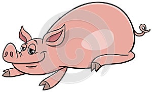 Cartoon pig funny farm animal character