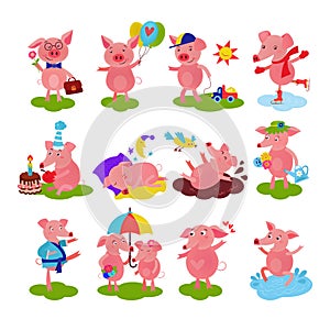 Cartoon pig vector piglet or piggy character on birthday and pink piggy-wiggy playing in puddle illustration piggish set