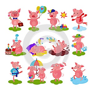 Cartoon pig vector piglet or piggy character on birthday and pink piggy-wiggy playing in puddle illustration piggish set photo