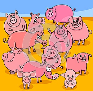 Cartoon pigs farm animal characters group